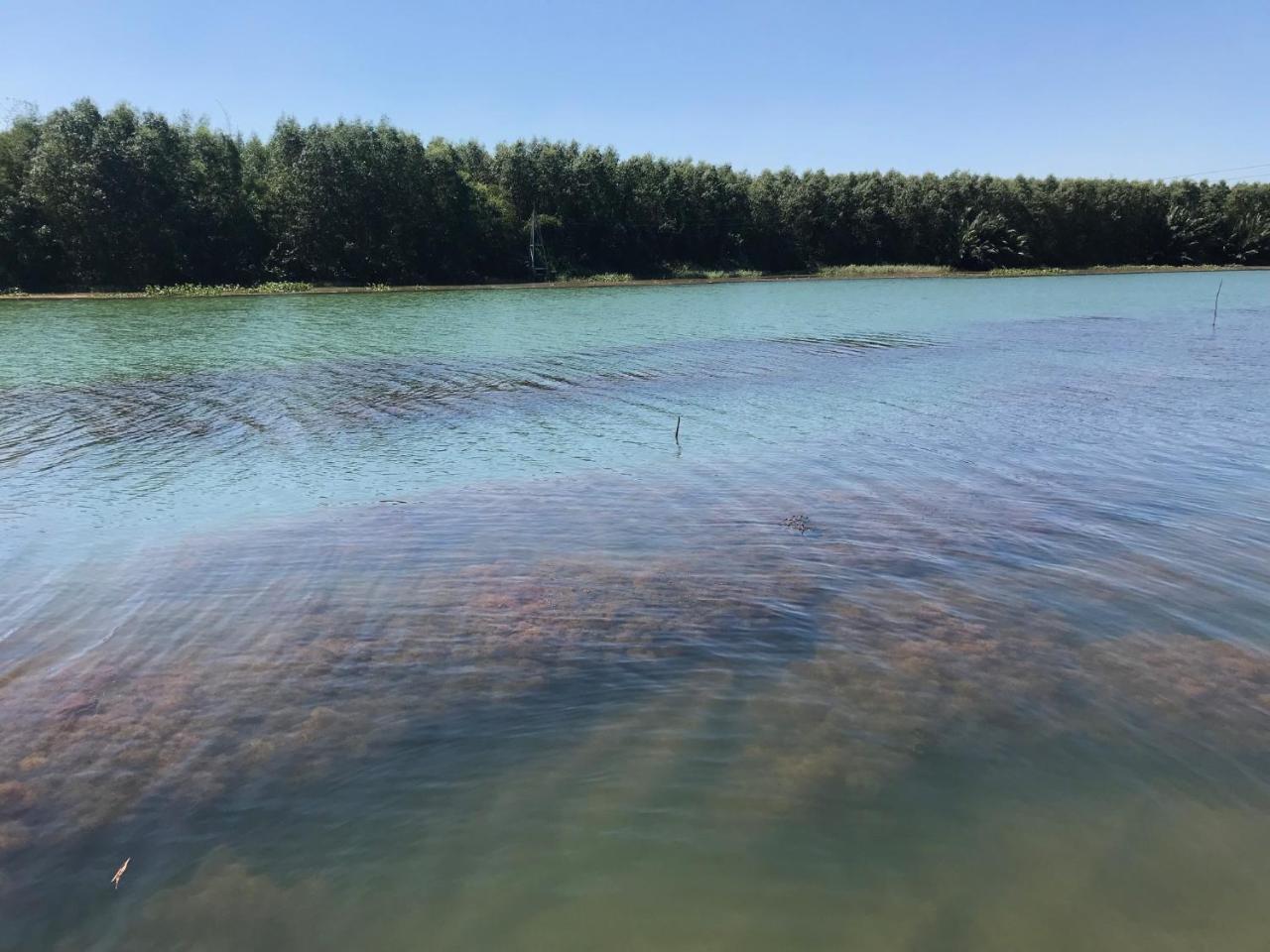 Chi-Bu Riverside Nhon Trach Buitenkant foto